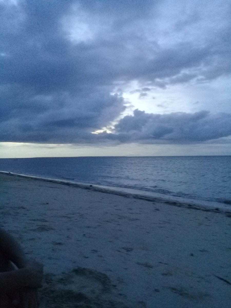 echivarre_perez's tweet photo. Finding kiki at sunflower beach
#haymanwaman https://t.co/tSvcgd1YhC