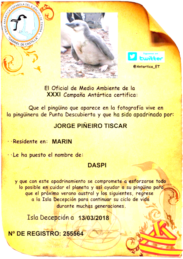 Jorjander's tweet photo. @RodriBouzas_ @chollometro 2 años hace y con el covid no puedo ir a visitarlo en navidades https://t.co/uq98uV6jE9