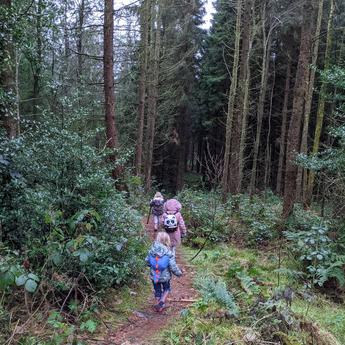 BoobBoo's tweet photo. Out for a walk in #hillsboroughforestpark, #TheaK is leading the way https://t.co/XXKGECu80o https://t.co/Slbdncfqgg
