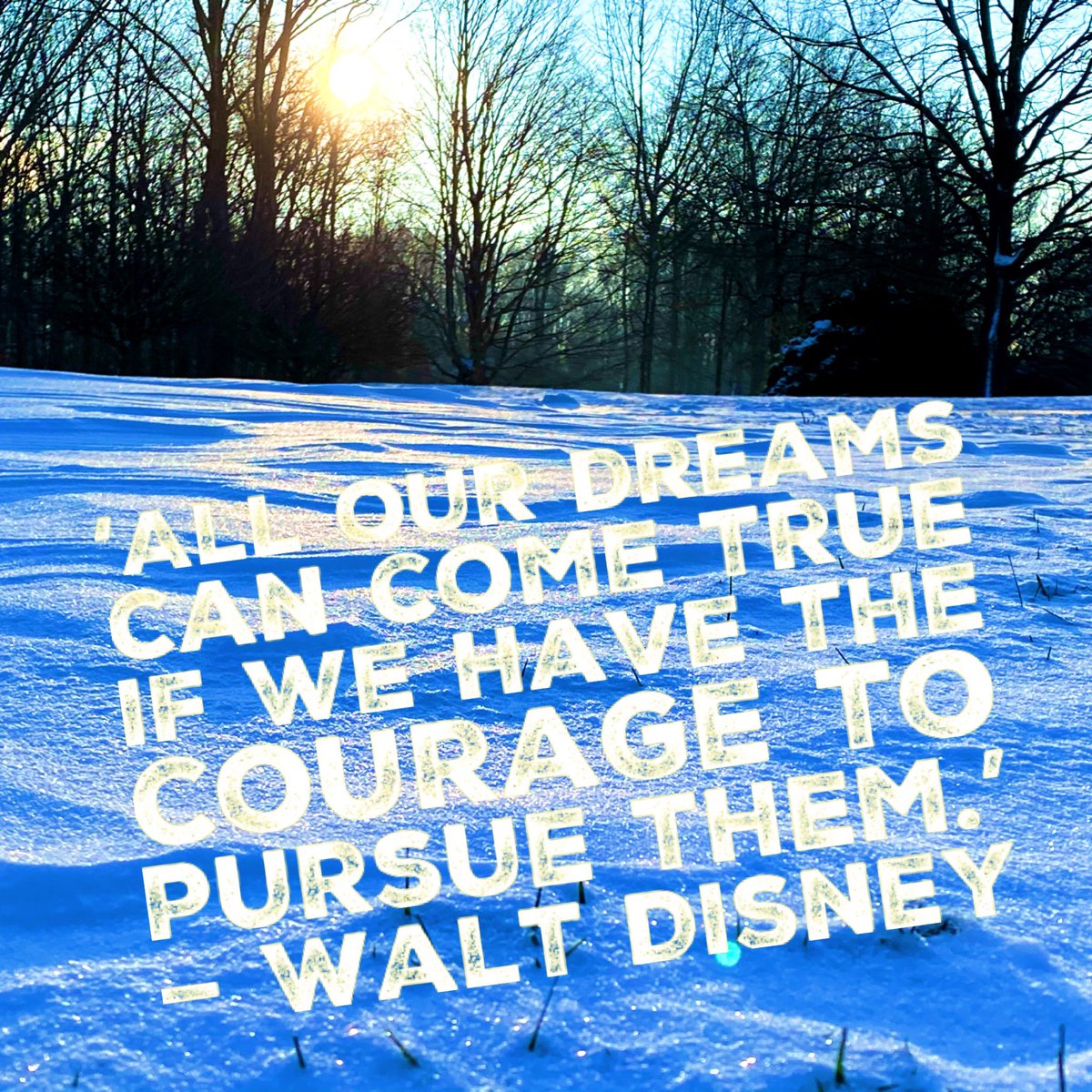 jonwmson70's tweet photo. ‘All our dreams can come true if we have the courage to pursue them.’
— #WaltDisney #dreamsdocometrue #QotD https://t.co/YokWuc6FHU