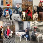 Image for the Tweet beginning: This #HolidaySeason we are grateful