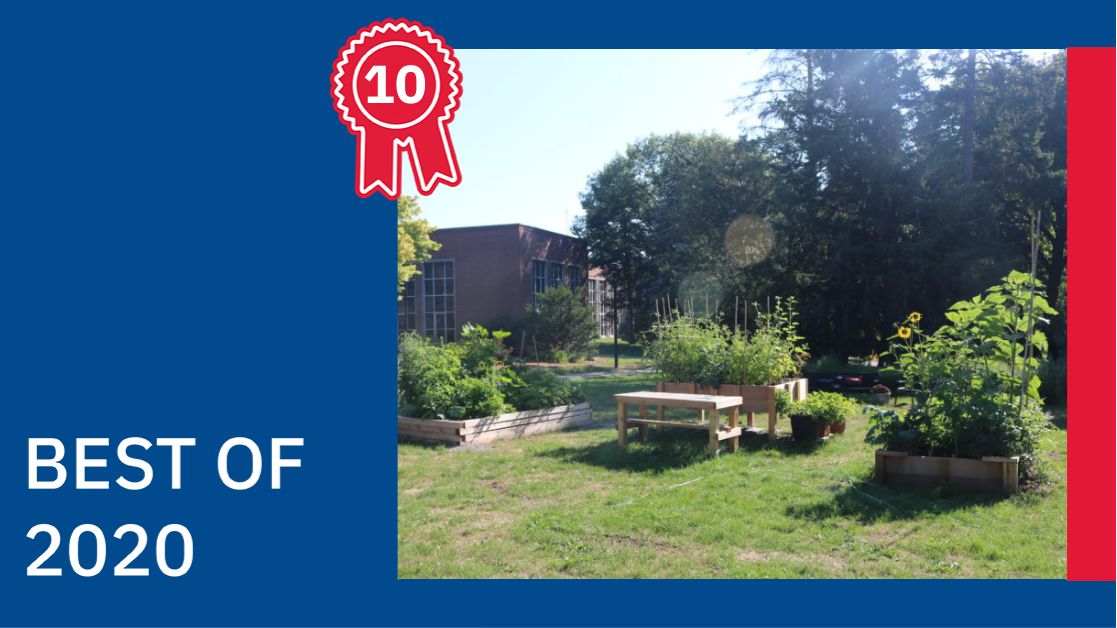 #BestofYU #10: Staff members, students and professors came together to create the Glendon Community Garden. Les membres du personnel de soutien, de la communauté étudiante et du corps professoral se sont réunis pour créer le #Jardin communautaire de Glendon. 🌻 <a href="/glendongarden/">glendongarden</a>