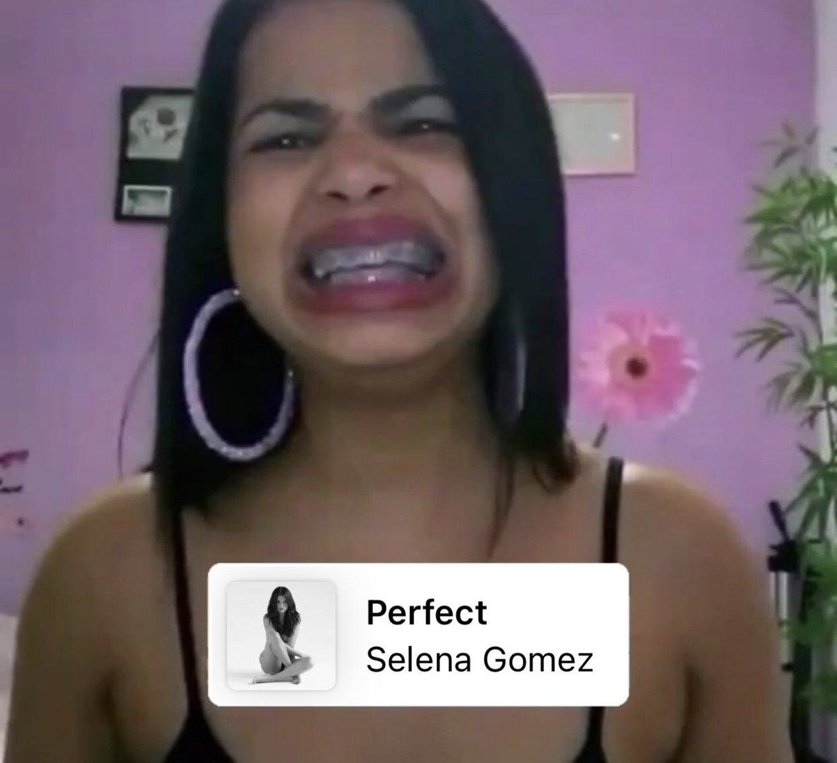 Prazer                                       Dor