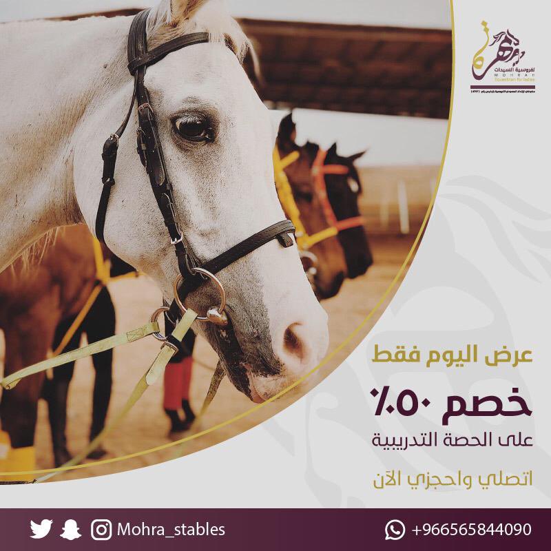 نادي مهرة لفروسية السيدات Mohra Stables Twitter