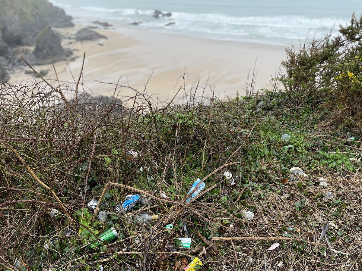 CornishMark's tweet photo. @AldiUK #newquayaldi The is wholly unacceptable, there should be regular checks and a cleaning operation to remove this from Aldi Newquay car park. #notgoodenough @CornwallLive @NewquayCouncil @BBCCornwall @2minbeachclean @CarveMag @EnvAgency @CornwallCouncil @BeachGuardian https://t.co/G56vNQQiks