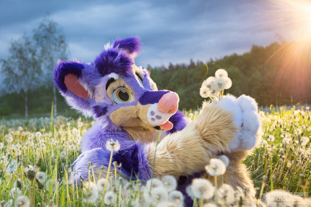 Maffik ๐จ๐ฟ (@maffik2) on Twitter photo Something from my first steps as a puppy and discivering a new world. Was full of happines love and hope. And thats what i want to wish to everyone to be happy full of love and have your own hope.
#furryfandom #furry #love #cutedogs #Christmastime
Photo by <a href="/FurCPhoto/">Furry C. Photo</a> Something from my first steps as a puppy and discivering a new world. Was full of happines love and hope. And thats what i want to wish to everyone to be happy full of love and have your own hope.
#furryfandom #furry #love #cutedogs #Christmastime
Photo by <a href="/FurCPhoto/">Furry C. Photo</a>
