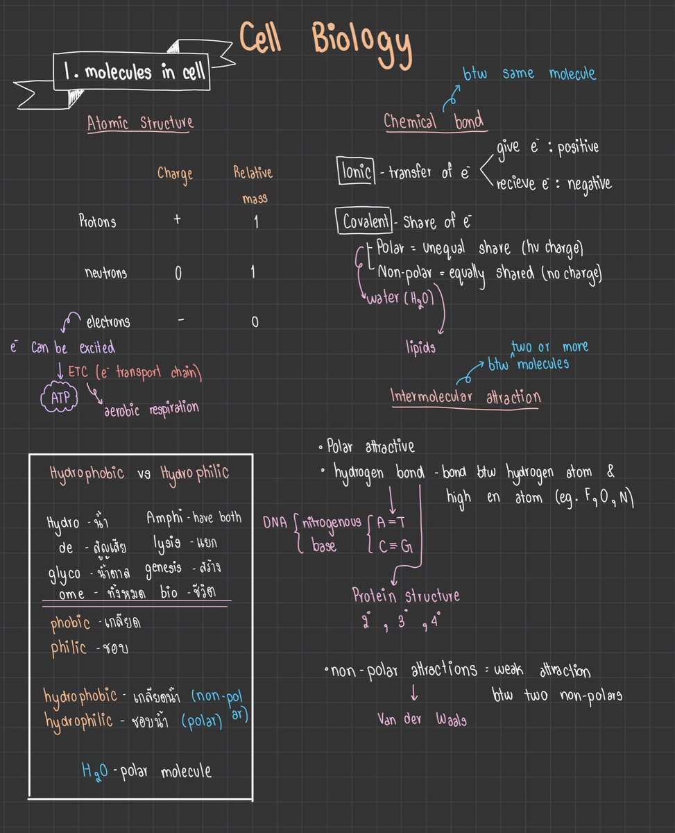 cheatsheets5's tweet image. SAT SUBJECT BIOLOGY🧬
🤍Cell biology (ออกประมาณ 27% ของข้อสอบ SAT Subject biology)🤍
-มีครบทุกเรื่องเเละเนื้อหา
-สรุปอ่านง่ายเเล้วเข้าใจง่าย
-ราคา 35 บาท
-ไฟล์ pdf
#ชีทสรุป #SATsubjects #SATprep #SATexam #biology #ชีทสรุปSAT #Cellbiology #collegeboard