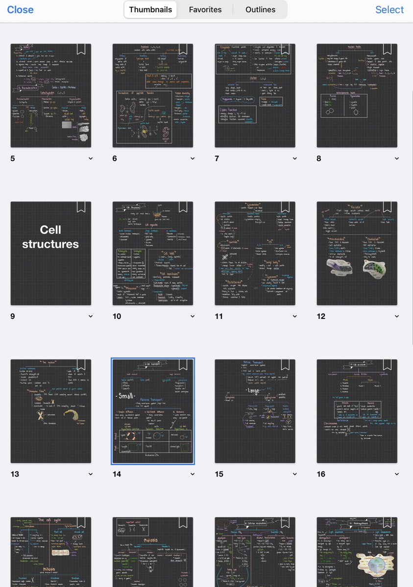 cheatsheets5's tweet image. SAT SUBJECT BIOLOGY🧬
🤍Cell biology (ออกประมาณ 27% ของข้อสอบ SAT Subject biology)🤍
-มีครบทุกเรื่องเเละเนื้อหา
-สรุปอ่านง่ายเเล้วเข้าใจง่าย
-ราคา 35 บาท
-ไฟล์ pdf
#ชีทสรุป #SATsubjects #SATprep #SATexam #biology #ชีทสรุปSAT #Cellbiology #collegeboard