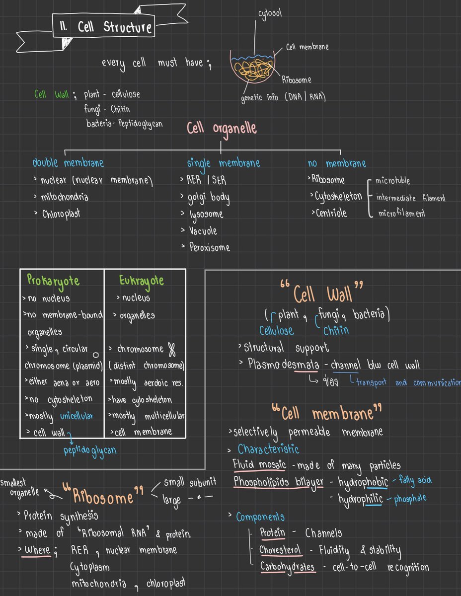 cheatsheets5's tweet image. SAT SUBJECT BIOLOGY🧬
🤍Cell biology (ออกประมาณ 27% ของข้อสอบ SAT Subject biology)🤍
-มีครบทุกเรื่องเเละเนื้อหา
-สรุปอ่านง่ายเเล้วเข้าใจง่าย
-ราคา 35 บาท
-ไฟล์ pdf
#ชีทสรุป #SATsubjects #SATprep #SATexam #biology #ชีทสรุปSAT #Cellbiology #collegeboard