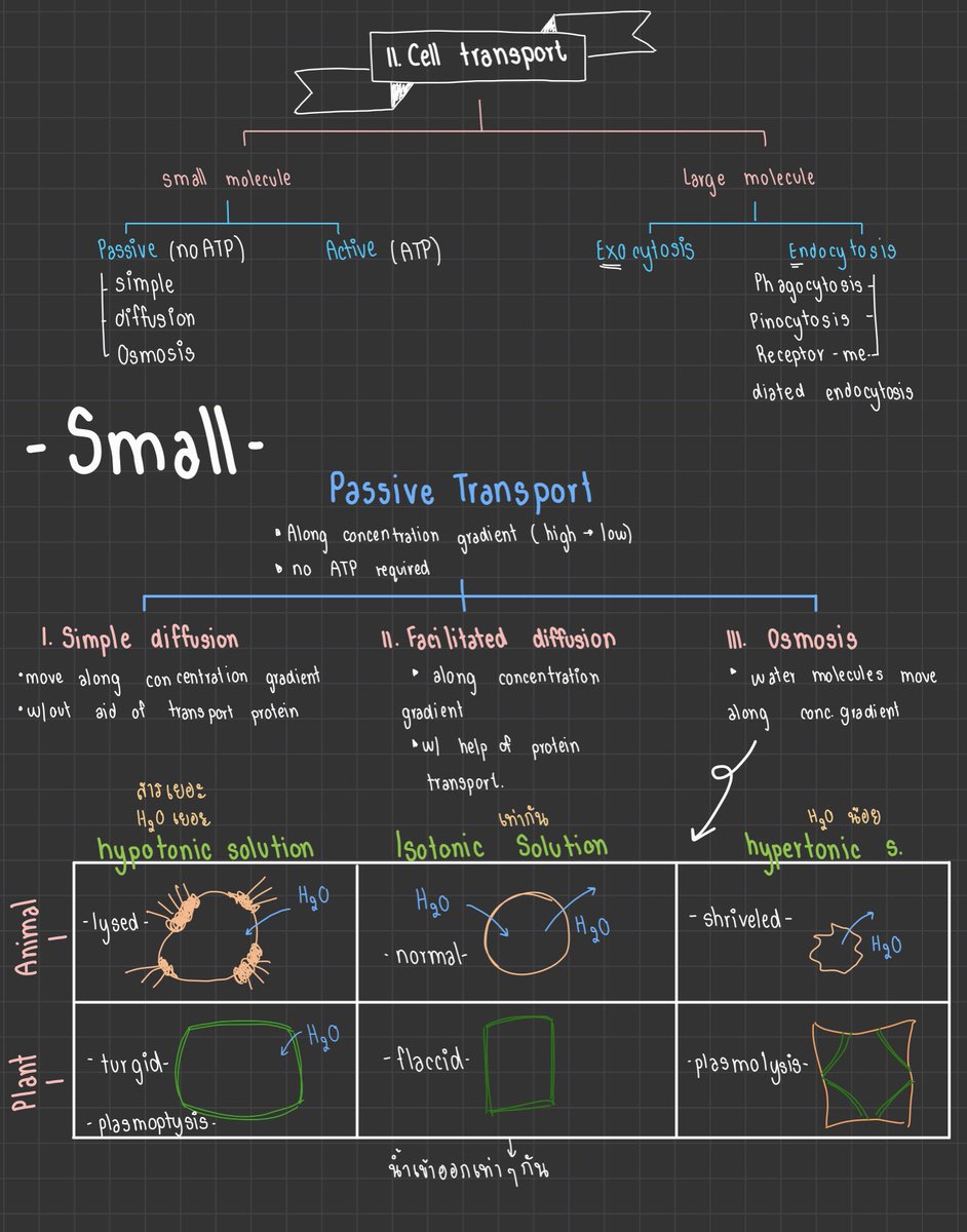 cheatsheets5's tweet image. SAT SUBJECT BIOLOGY🧬
🤍Cell biology (ออกประมาณ 27% ของข้อสอบ SAT Subject biology)🤍
-มีครบทุกเรื่องเเละเนื้อหา
-สรุปอ่านง่ายเเล้วเข้าใจง่าย
-ราคา 35 บาท
-ไฟล์ pdf
#ชีทสรุป #SATsubjects #SATprep #SATexam #biology #ชีทสรุปSAT #Cellbiology #collegeboard