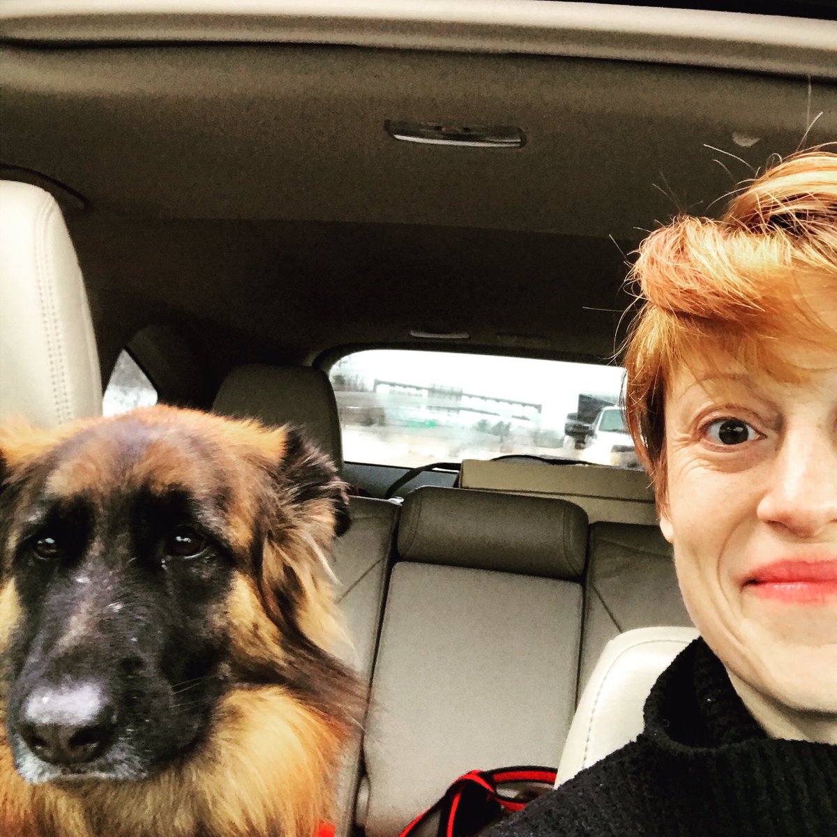 This girl—my co-pilot—on her way to a holiday party with doggie friends.

OMG.

The excitement. 

I hope she has a blast.