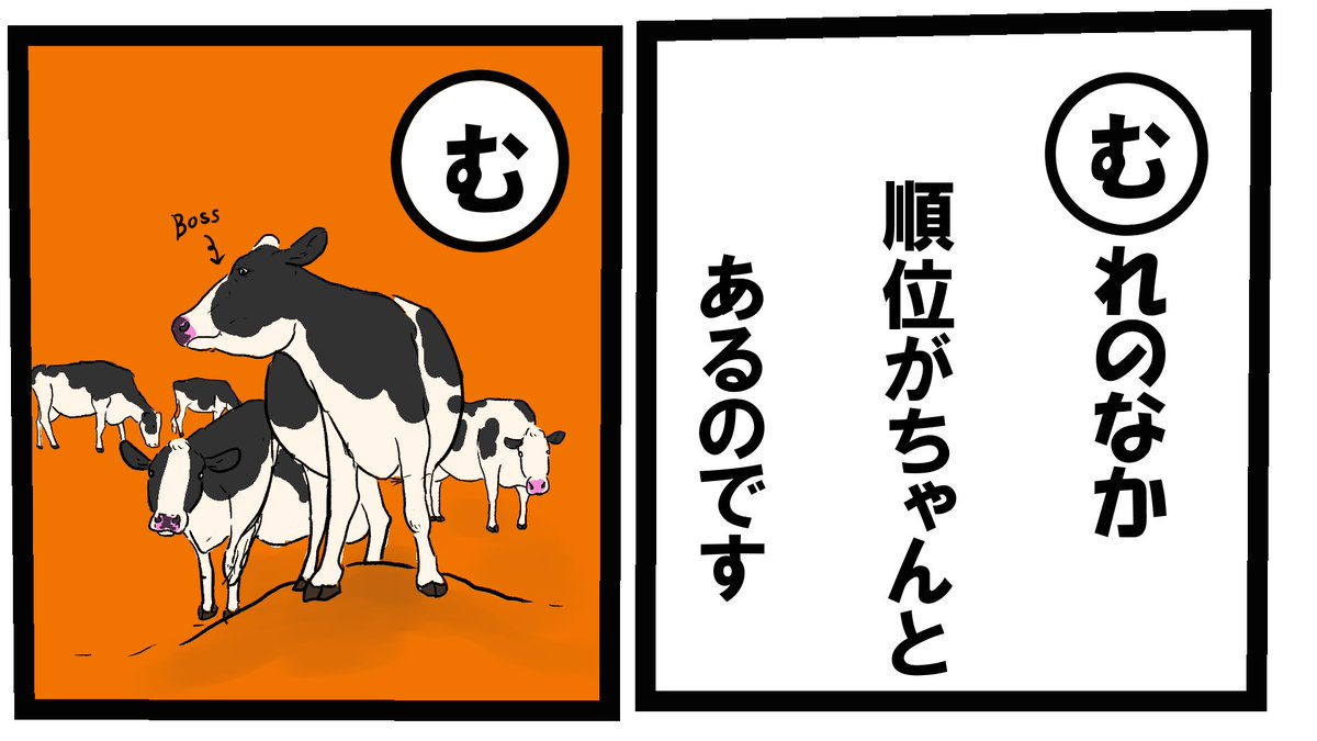 牛カルタ『む』

牛の群れの中にもちゃんと序列が存在します。
雌だけの群れでもちゃんとボス牛はいます。先頭のボスに付いて移動したりもするとか。群れによっては1番弱い牛は他の牛達にイジメられたりもするのです😭のんびり見えて意外と厳しい…
#牛カルタ  #牛  #牛イラスト 