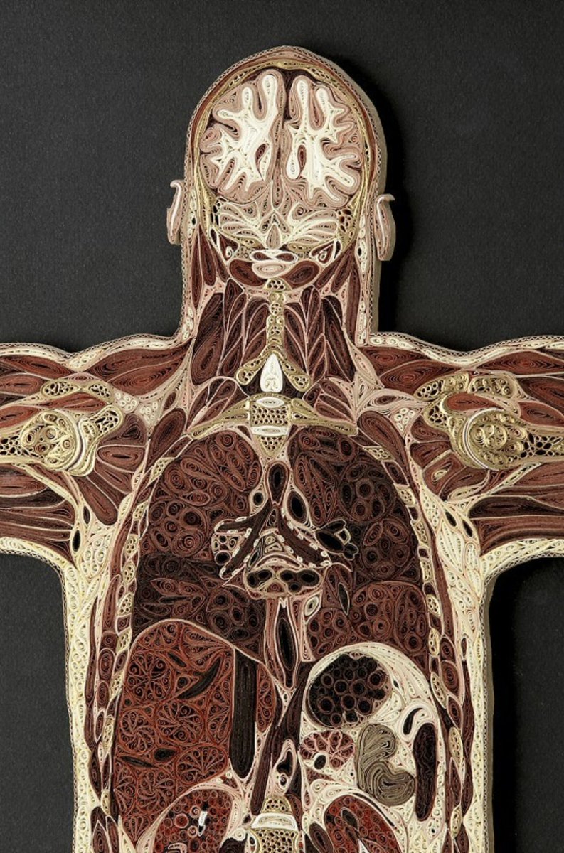 cateterdoblej's tweet photo. ¡Sencillamente espectacular! La artista Lisa Nilson ha añadido más obras a su colección anatómica "Tissue Series" hecha con papel de morera japonés. 
https://t.co/89O4ROKI4q

#anatofrikituits https://t.co/3Z1BjBRM9V
