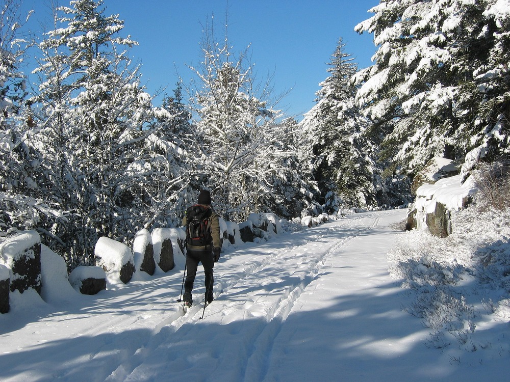 RobWallace_FWP's tweet photo. Today is not only #WinterSolstice but #Maine Day. Maine is the home to 10 @USFWSRefuges, a Waterfowl Production Area and 6 @NatlParkService areas. Come enjoy our winter playgrounds. https://t.co/NuUK24zNmd