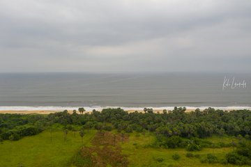 Le Congo Est Chic tweet media