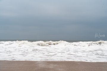 Le Congo Est Chic tweet media