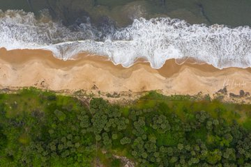 Le Congo Est Chic tweet media