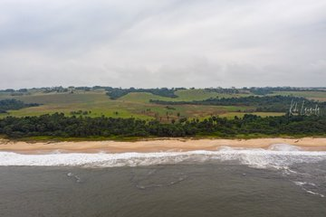 Le Congo Est Chic tweet media