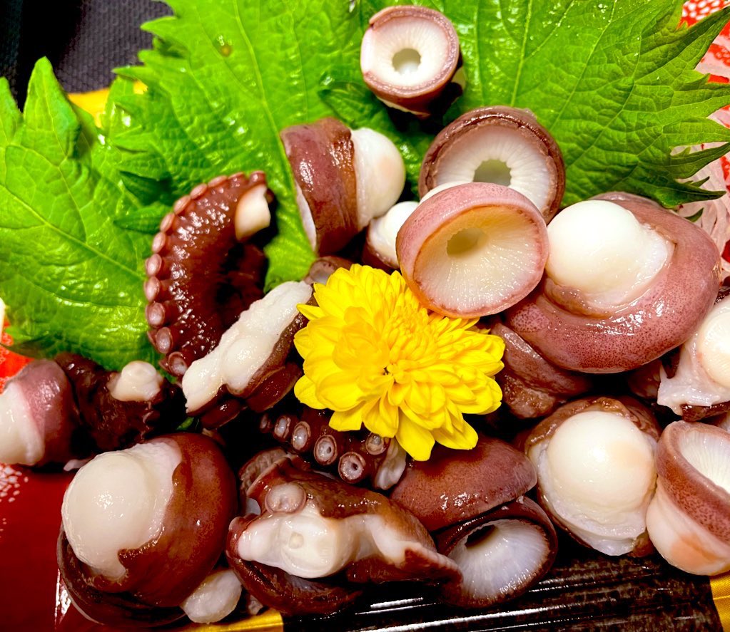 タコの吸盤 Twitter Search Twitter