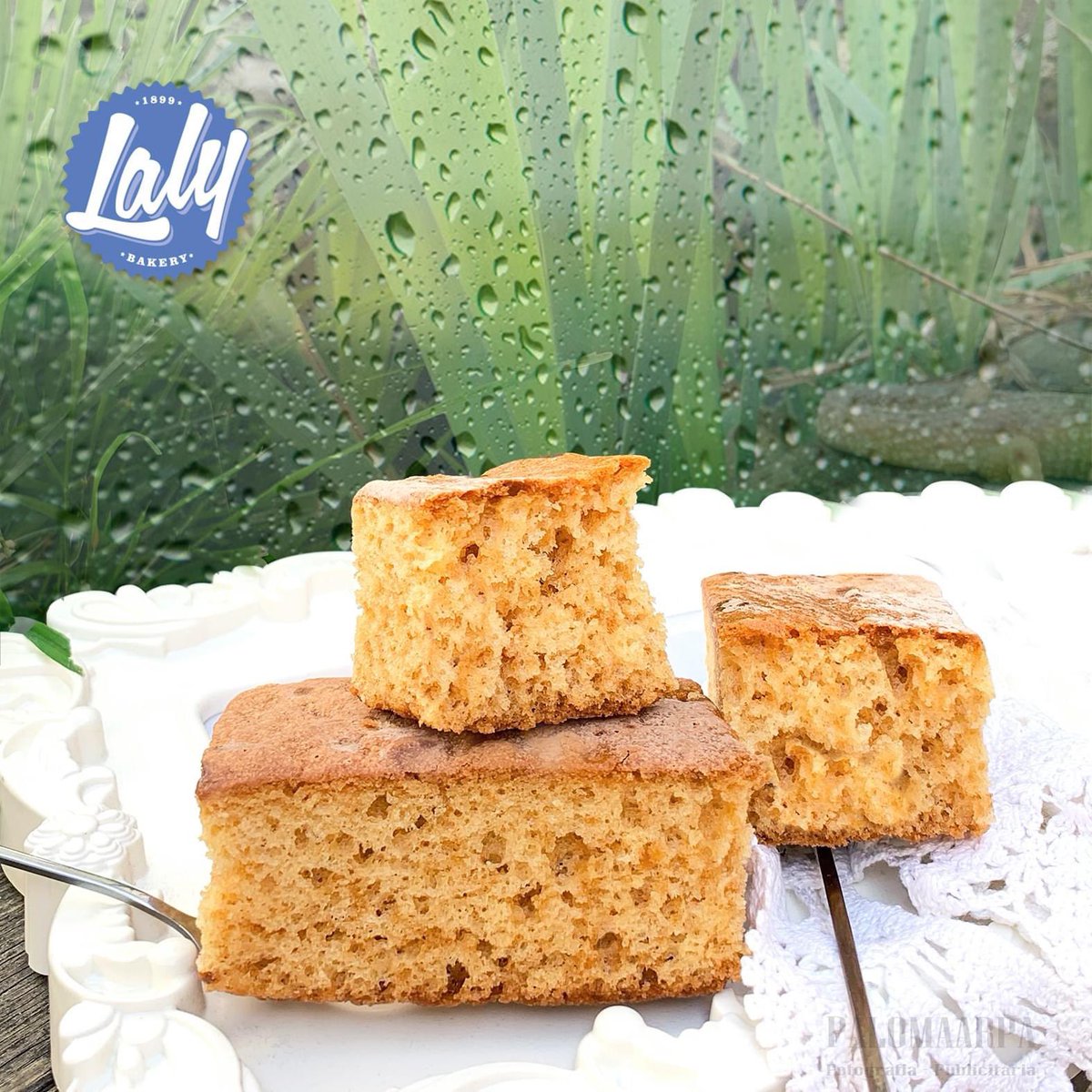 LalyBakery's tweet photo. En días de lluvia, el momento es lo que importa....saborea tu momento "bizcocho artesano"... naturalmente con un ingrediente estrella... los huevos de granja. Disfruta saborea!!!

#lalybakery #bizcocho #artesano #sinleche #huevosdegranja ##sinazucares #aplv https://t.co/0AwPgRT4N4