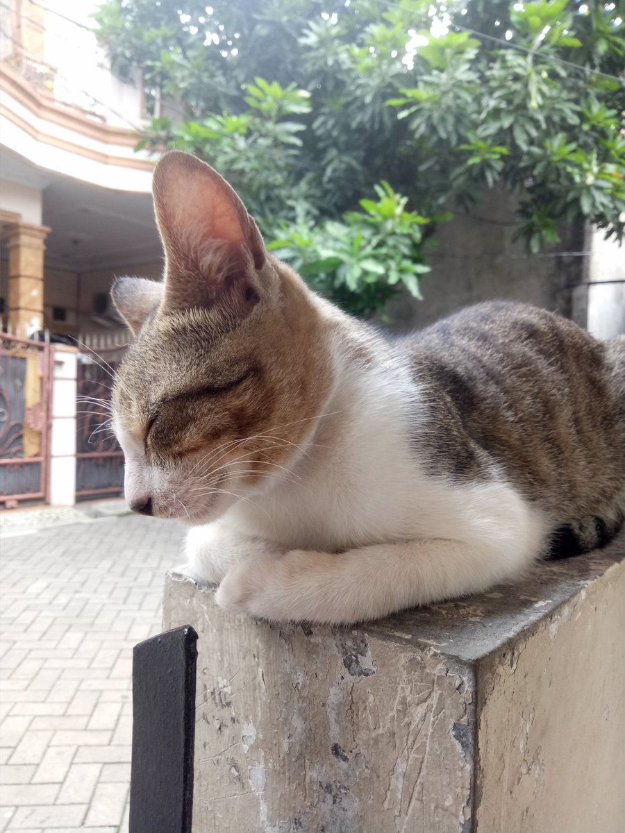 vmandha_ofc's tweet photo. Morning snapshot with oppo f1s @OPPOIndonesia https://t.co/mFSXw2mbvz