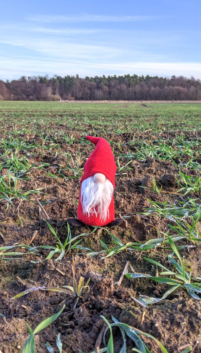 Thünen Coordination Unit Climate Soil Biodiversity tweet media