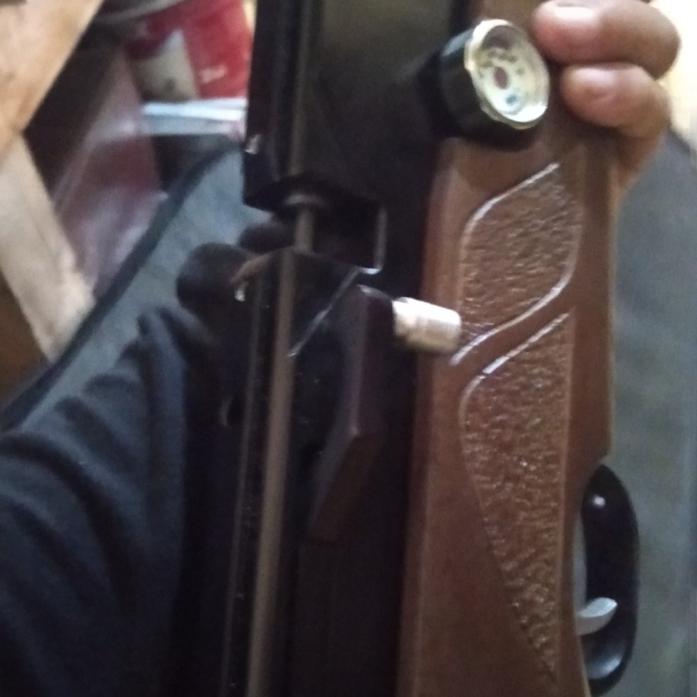 tansport airrifle tweet media