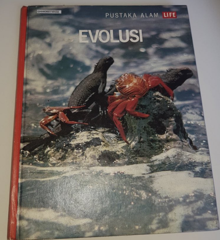 sabdaps's tweet photo. Post the first four books (yg science experiment beda, tp yg ini kyknya yg ngaruh banget) that started you on your current intellectual journey no matter how cringe. 

Buku selain science experiment, masih lengkap di rumah bokap tp udah ancur karena sering dibolak-balik :) https://t.co/SUO8phlbA2