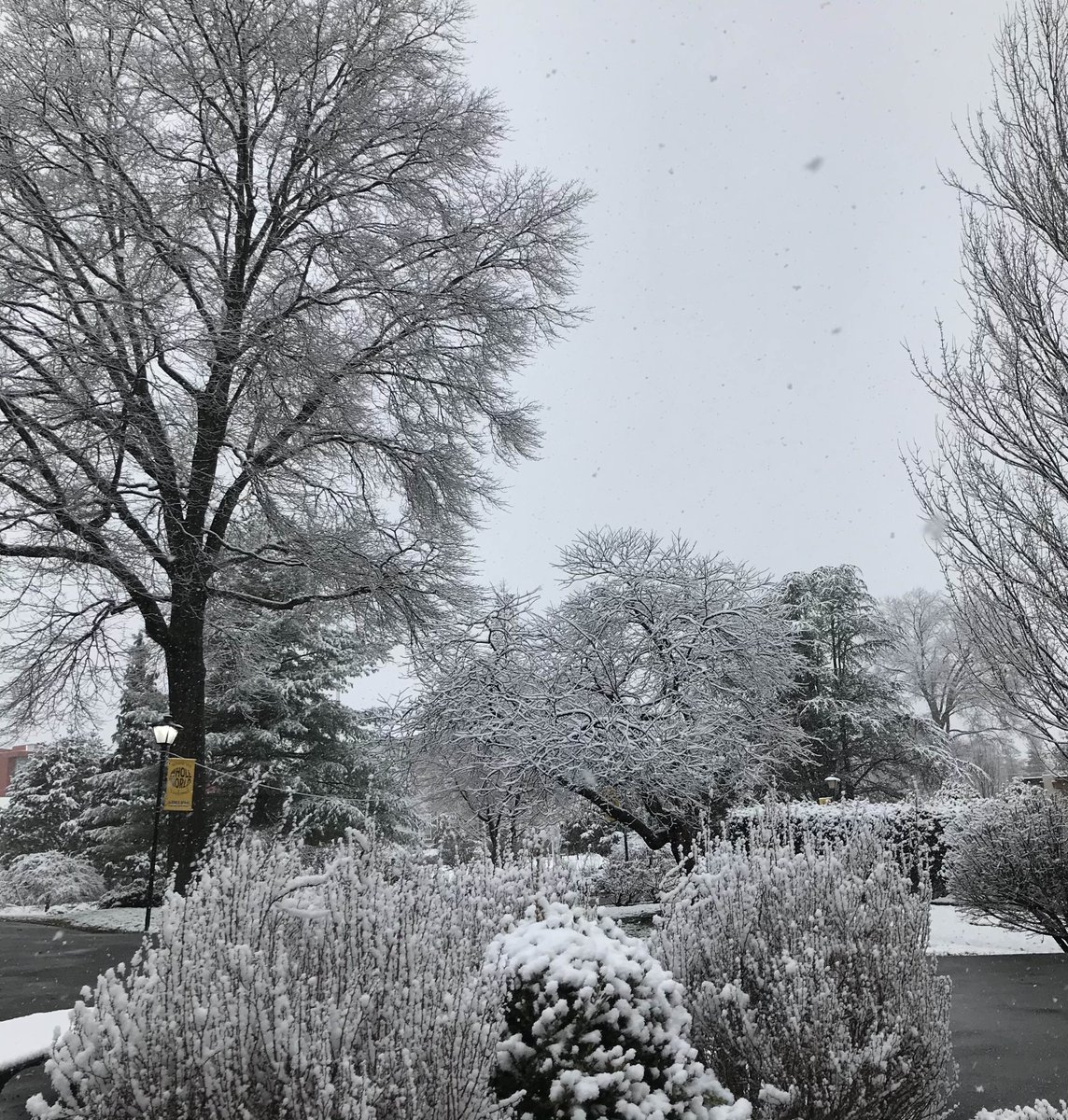 AdelphiU's tweet image. Seems like we’ll be getting more snow soon 🥶❄️ What’s your favorite season? #ReplyTweet #WinterAtAdelphi