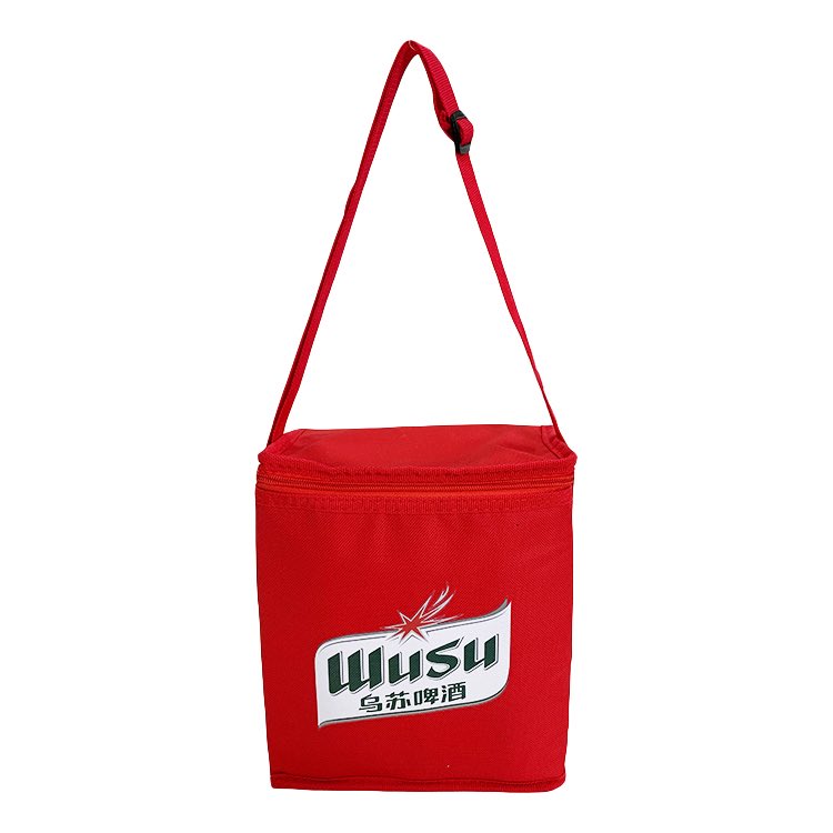 Promotional Aluminum Foil Outdoor Insulated Cheap Cooler Bag app.alibaba.com/dynamiclink?to…