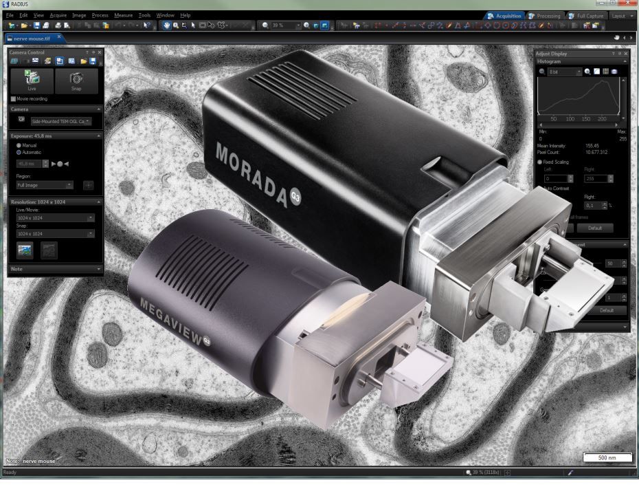 MEDIASystemLab's tweet photo. Every particle coounts! Se sei d'accordo guarda questo webinar in cui parliamo di #Particleseparation e #detection utilizzando immagini dal TEM. Le telecamere che utilizziamo sono della #Emsis.
https://t.co/diSKOzIY7R
#TemImaging https://t.co/iJA4B5w5Ml