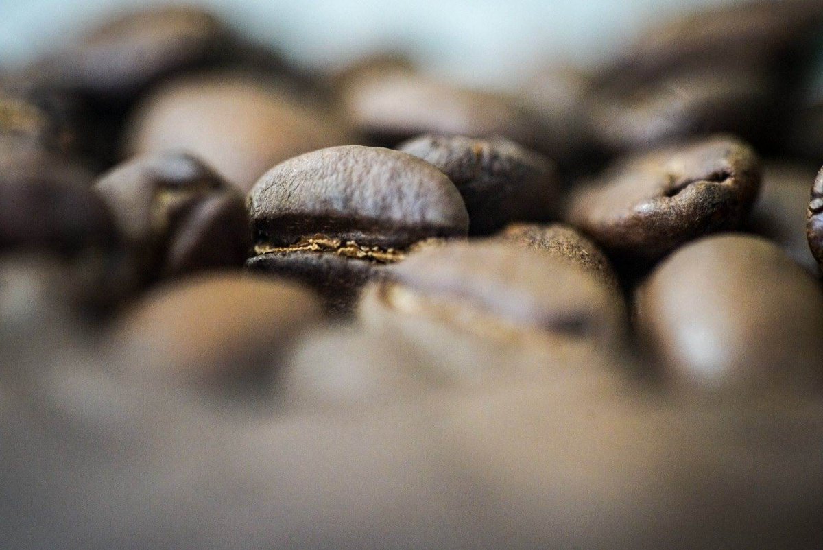 FirstAscentCB's tweet image. Have you tried our new El Salvador Belvedere Blend? A beautiful blend of Red Bourbon processed three ways – white honey, yellow honey, and natural process – from acclaimed producer Annie Ruth Pimental of La Loma Gloria. Notes of spiced cider, lavender, and sugar cane. #coffee