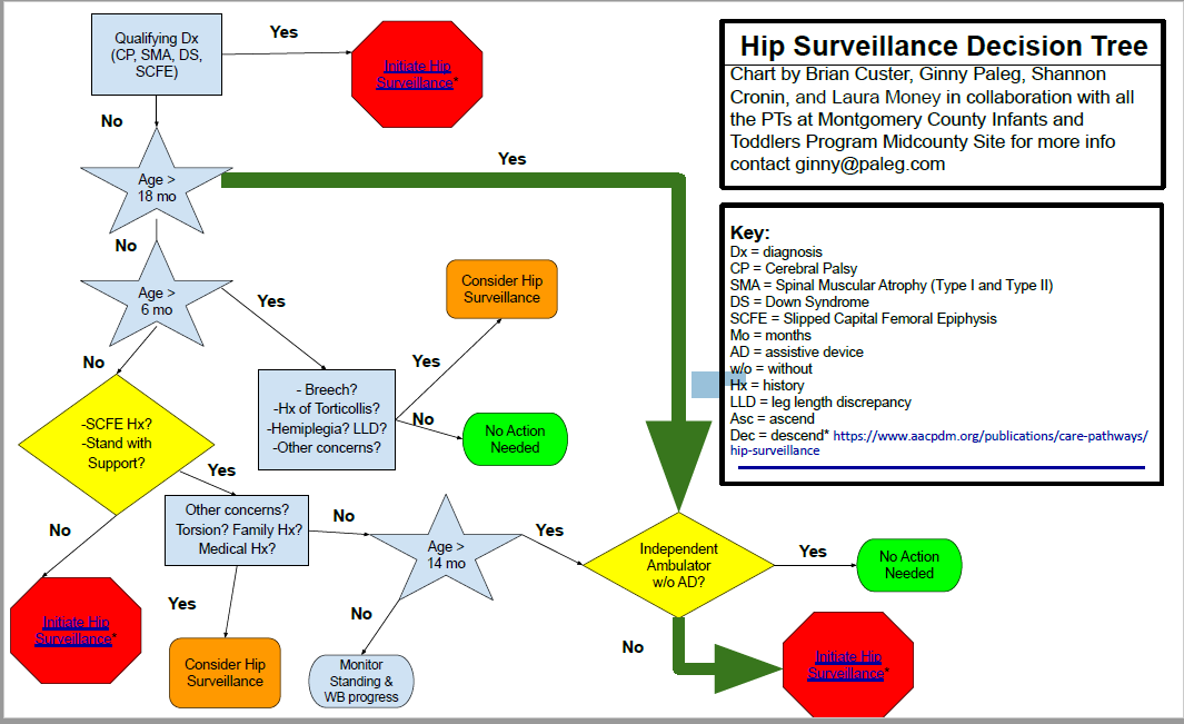 ginnypaleg's tweet photo. Here are our thoughts for hip surviellance for school-based and early intervention therapists - please share! #eacd2020 #aacpdm #apptac https://t.co/B4jfvwsfRj