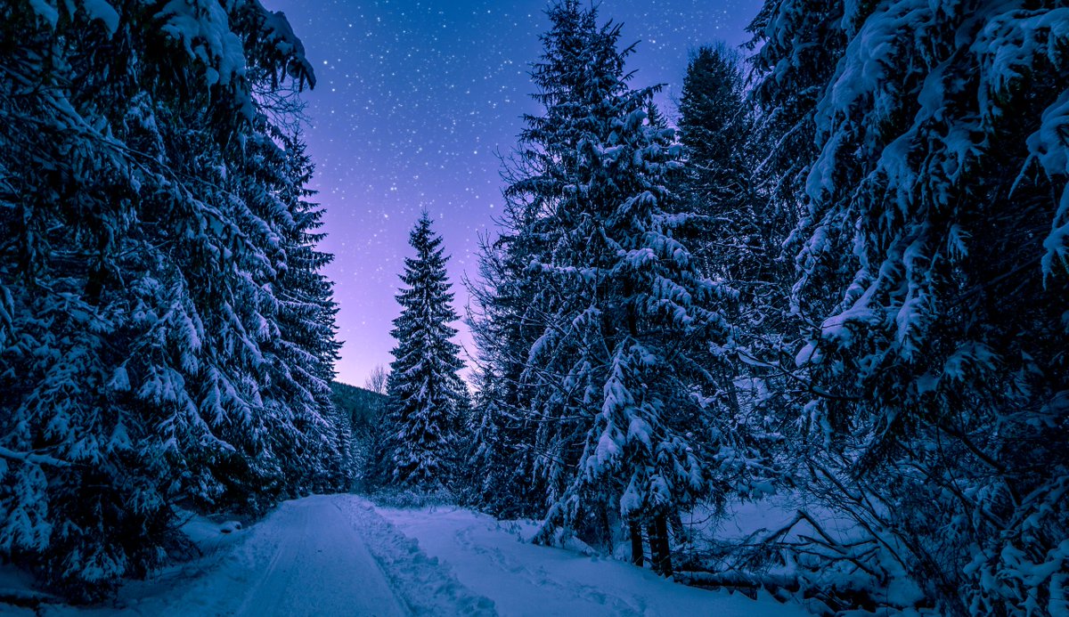 Today is the #WinterSolstice, and so we begin this lovely season. Footsteps in the snow, long nights full of stars...it's a beautiful time in the Okanagan!