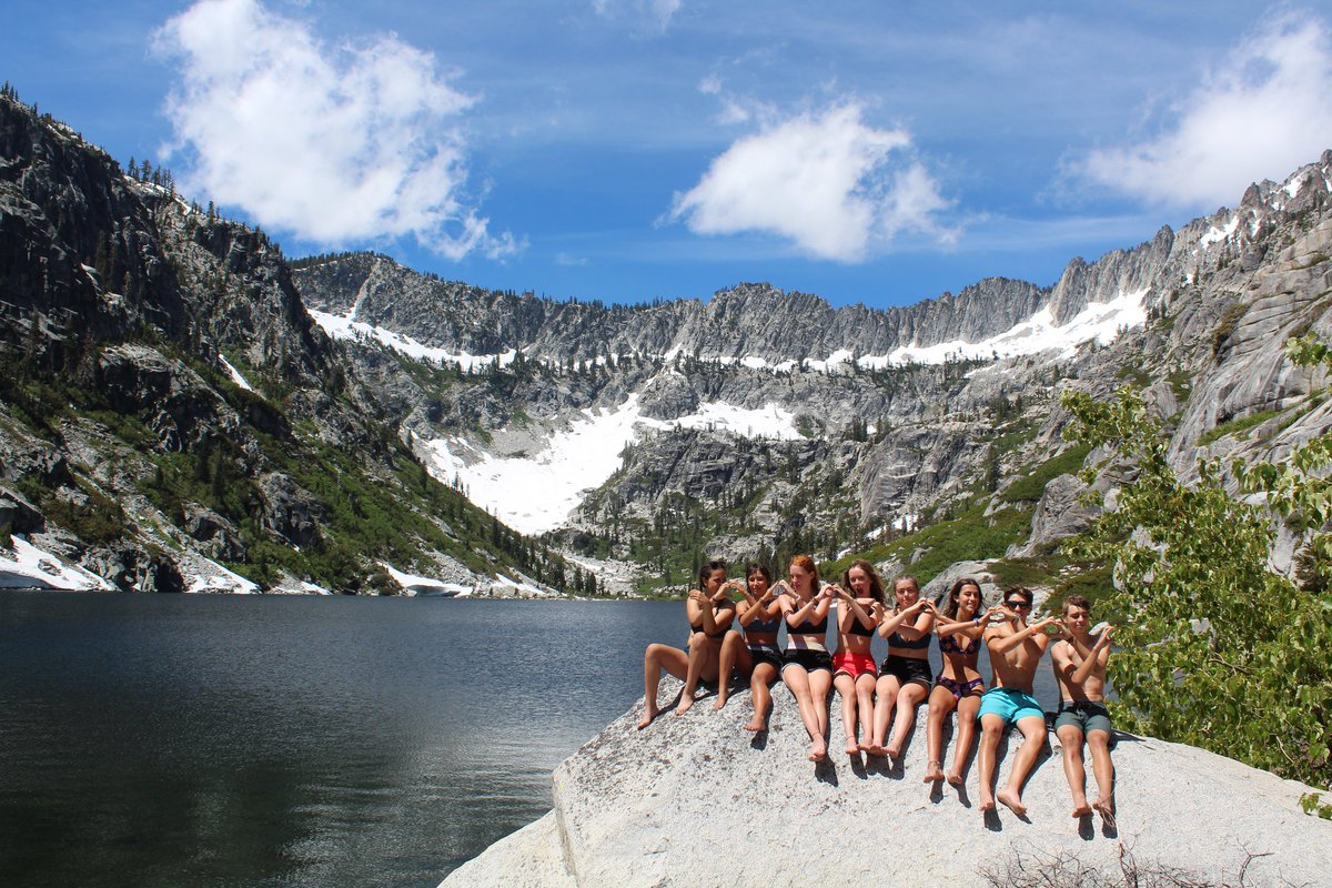 Occupation_Wild tweet media