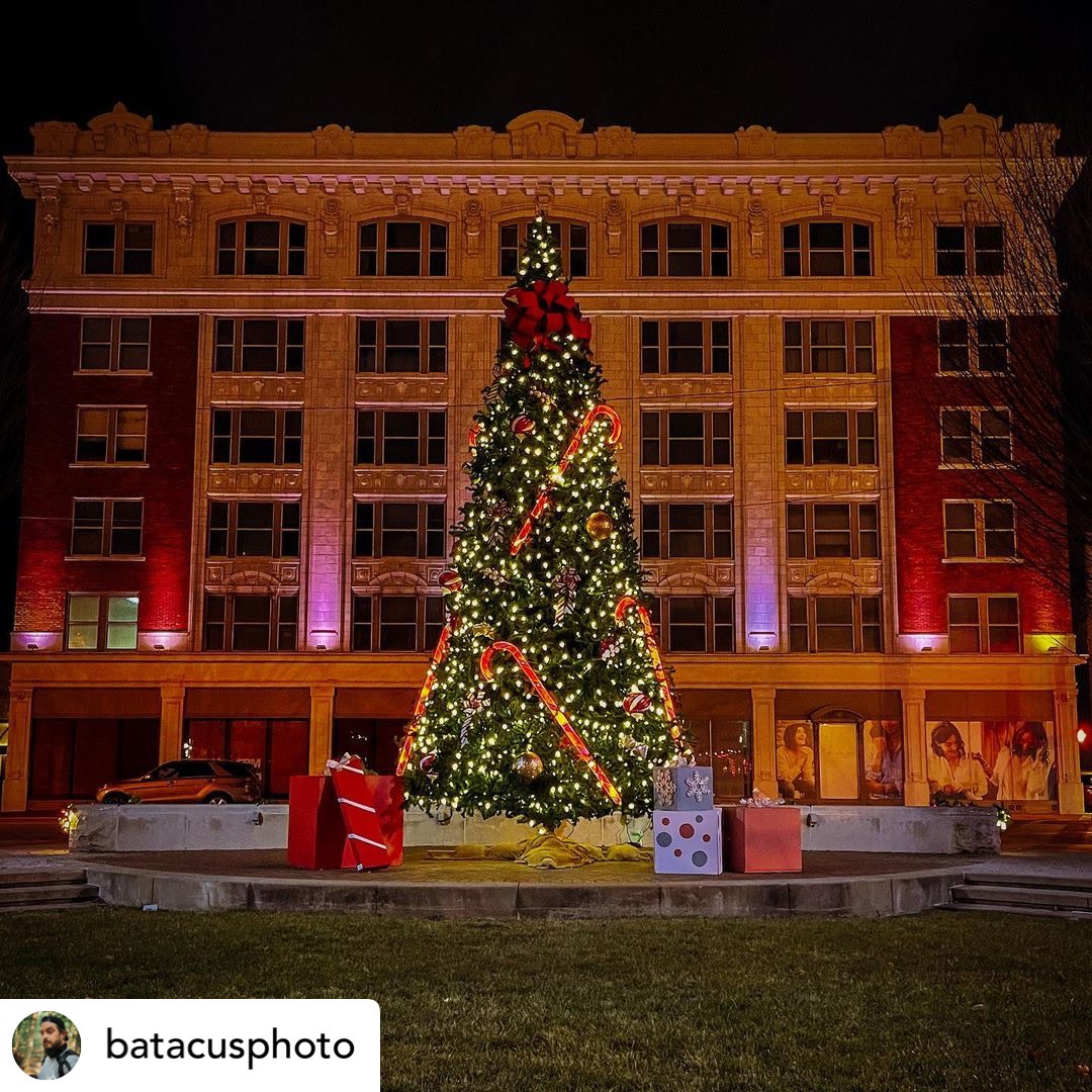 GoSoIN's tweet photo. We love seeing SoIN all 'spruced' up for the Holidays! 😉🎄 https://t.co/qIMBmz0CiU

📸: batacusphoto

#GoSoIN #OurNa https://t.co/BjaA7tSC6S