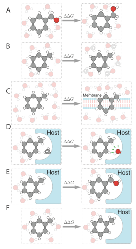 livecomsj's tweet photo. Check out our new article, “Best Practices for Alchemical Free Energy Calculations”, and please spread the word. This provides an extensive set of recommendations for these calculations and we hope will be valuable to the community. #compchem 
https://t.co/7uopl8i1CT https://t.co/GBbF7ed1hn