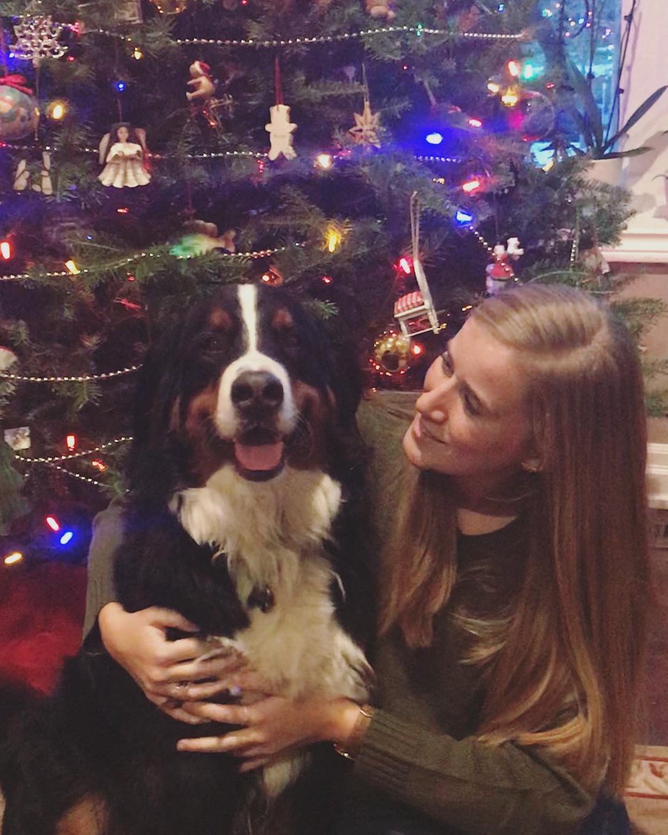 h_macrae's tweet photo. @dog_rates @bestfriends @Trupanion https://t.co/K8hB6EJJZU