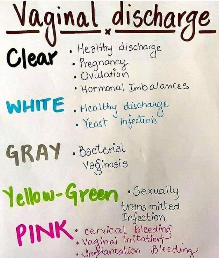 Qalam bilan chizilgan ayol mushuki