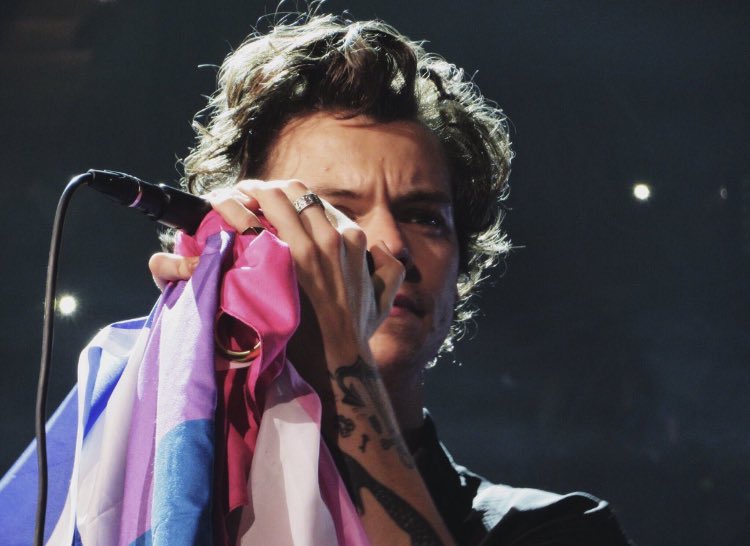 harry with the bi flag; a thread !