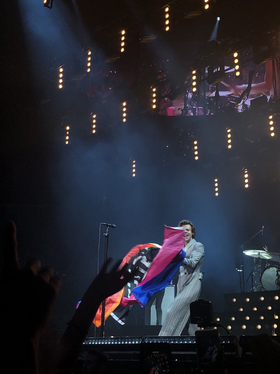 harry with the bi flag; a thread !