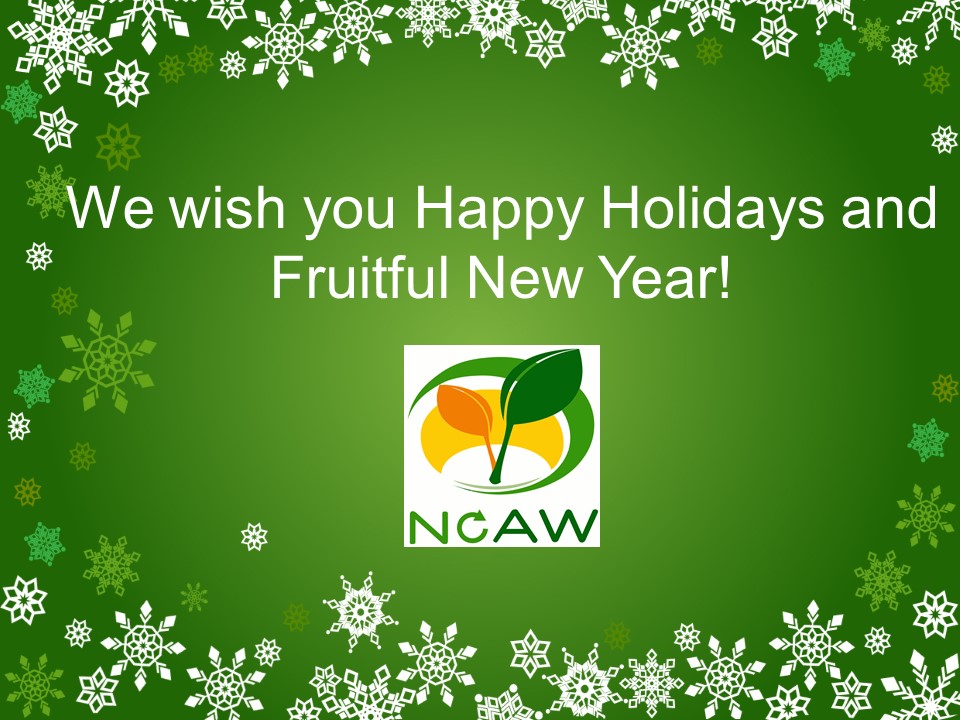 NoAW2020's tweet photo. See you in January 2021 on the NoAW Final Stakeholder Webinar! https://t.co/EALbRT9aZZ