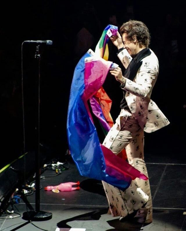 harry with the bi flag; a thread !