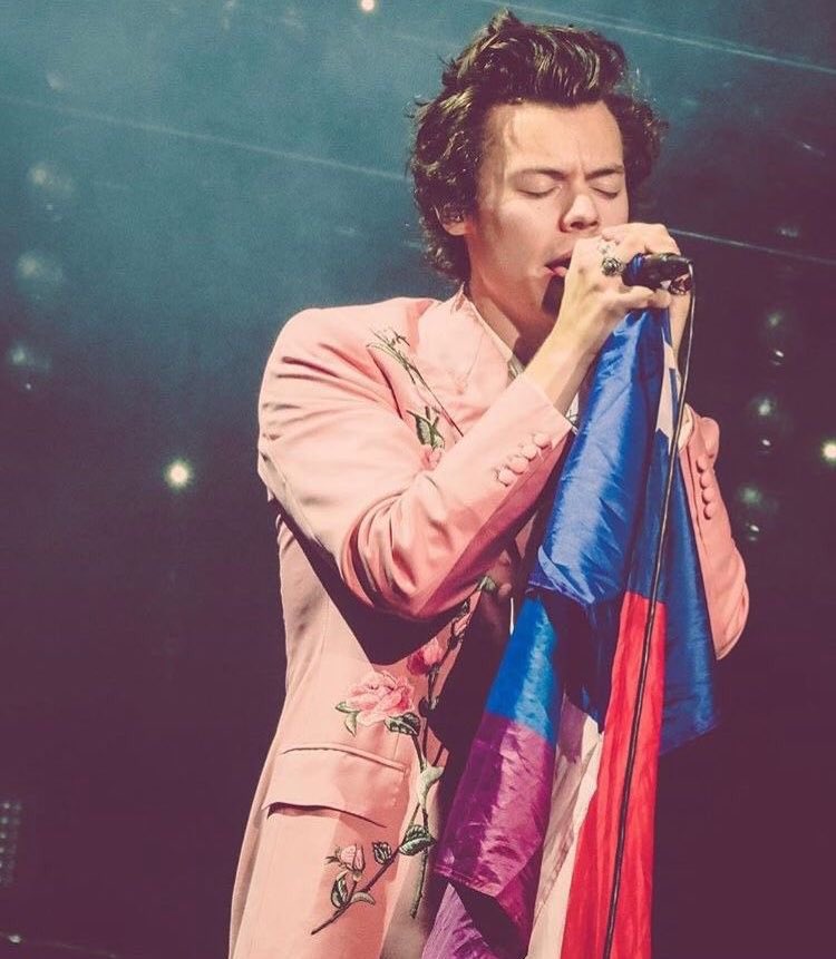 harry with the bi flag; a thread !