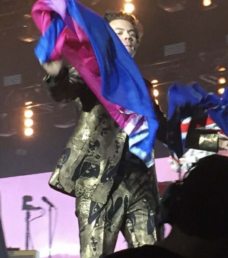 harry with the bi flag; a thread !