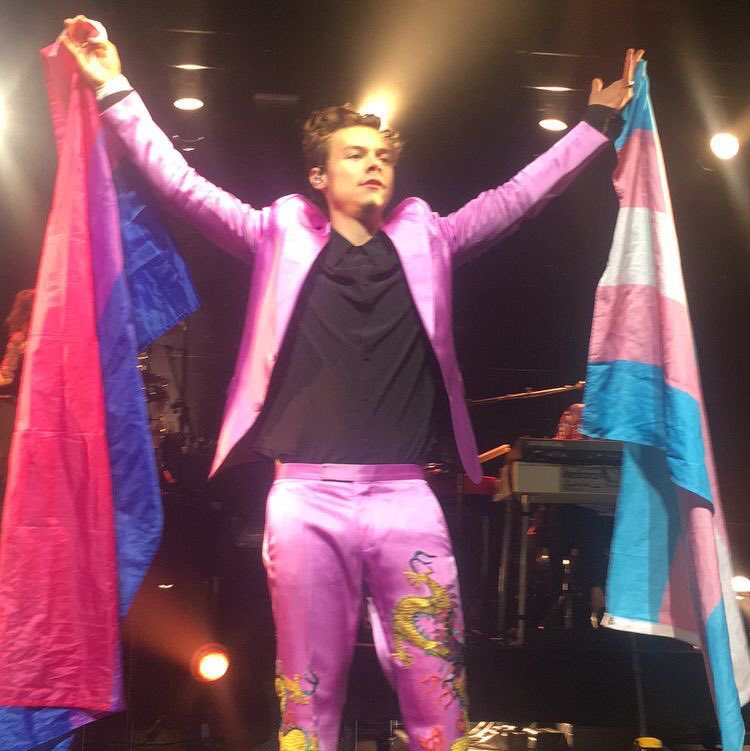 harry with the bi flag; a thread !