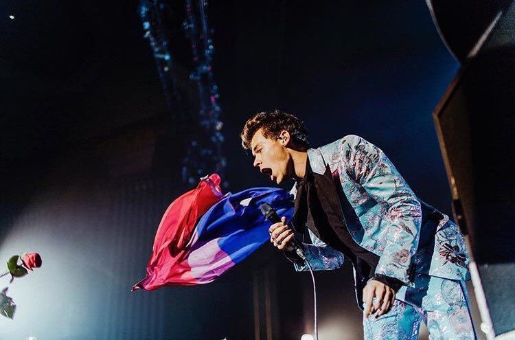 harry with the bi flag; a thread !