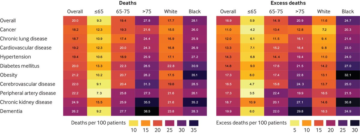4/8 Excess deaths were most pronounced among older adults, Black people, and people with obesity, chronic kidney disease, and dementia** Heatmap may be useful in informing risk-based vaccine prioritization