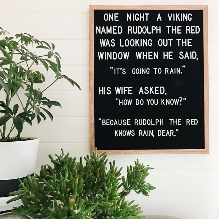 AFSP_WV's tweet photo. ๐ฆ Hoping this brings you all a little chuckle today!
#MondayPunday #AFSP #AFSPWV #HealingWithHumor #StopSuicide #BeTheVoice #YouAreNotAlone #TogetherWeAreStronger #MentalHealthMatters https://t.co/VU6rXp8JhM
