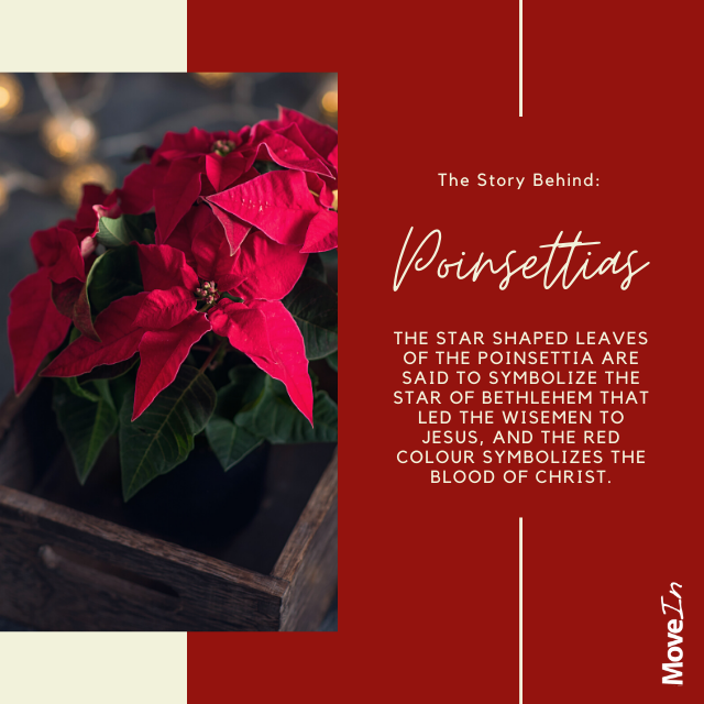 Christmas time is full of traditions but how did they begin? As we dig into the stories behind the traditions, we are pointed back to Jesus and His love for the poor and the lost. Let's use our traditions to remind us to love others as Christ loves us.